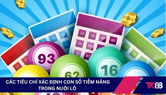 Các tiêu chí xác định con số tiềm năng trong nuôi lô 