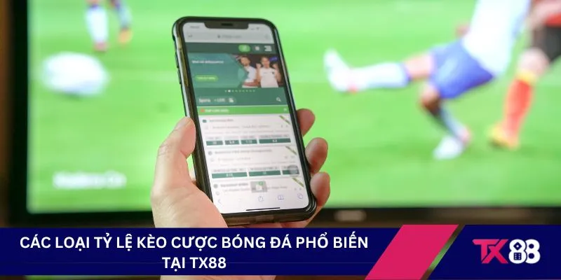 Các loại tỷ lệ kèo cược bóng đá phổ biến tại TX88