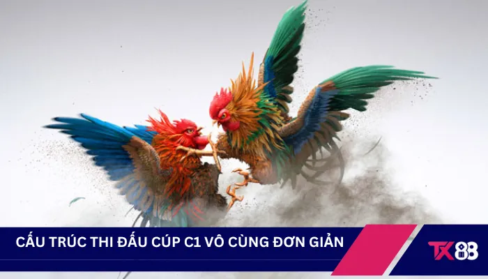 Cấu trúc thi đấu cúp C1 vô cùng đơn giản 