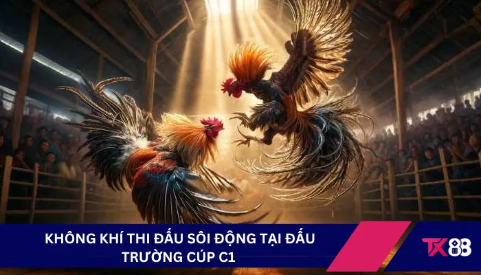  Không khí thi đấu sôi động tại đấu trường cúp C1